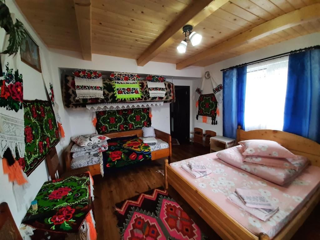 Проживание в семье Casa Pintea de Sub Coastă Breb-43
