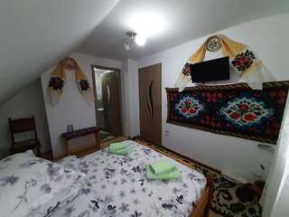 Проживание в семье Casa Pintea de Sub Coastă Breb Двухместный номер с 1 кроватью и собственной ванной комнатой-1
