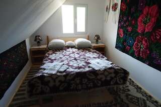 Проживание в семье Casa Pintea de Sub Coastă Breb Двухместный номер с 1 кроватью и собственной ванной комнатой вне номера-2