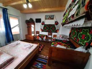 Проживание в семье Casa Pintea de Sub Coastă Breb Cемейный номер с собственной ванной комнатой-3