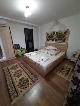 Проживание в семье Casa Pintea de Sub Coastă Breb Двухместный номер с 1 кроватью и собственной ванной комнатой-2