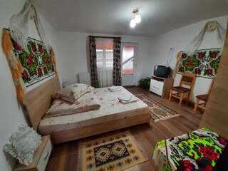 Проживание в семье Casa Pintea de Sub Coastă Breb Двухместный номер с 1 кроватью и собственной ванной комнатой-3